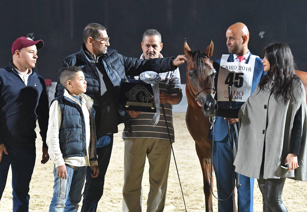 Yearling Filly Silver Champion: Jasmeena El Gabry (Ajman Moniscione X Cuiaba OS)