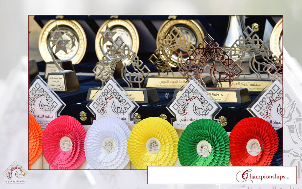 Lisa Abraham: The AHO Breeders' Championship in Egypt Photo Gallery