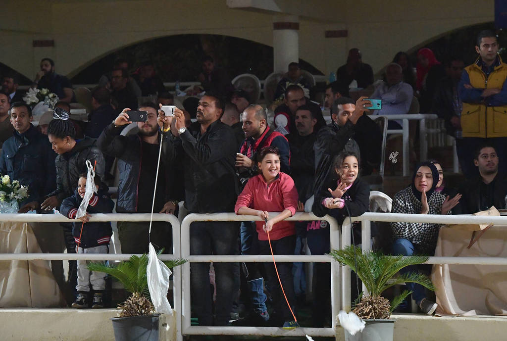 Lisa Abraham: The AHO Breeders' Championship in Egypt Photo Gallery