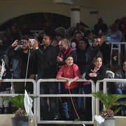 Lisa Abraham: The AHO Breeders' Championship in Egypt Photo Gallery