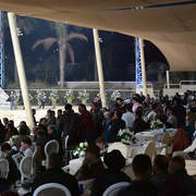 Lisa Abraham: The AHO Breeders' Championship in Egypt Photo Gallery