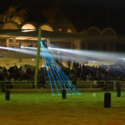 Rabab Stud in Cairo, Egypt ~ owned by Sheikh Khaled bin Laden