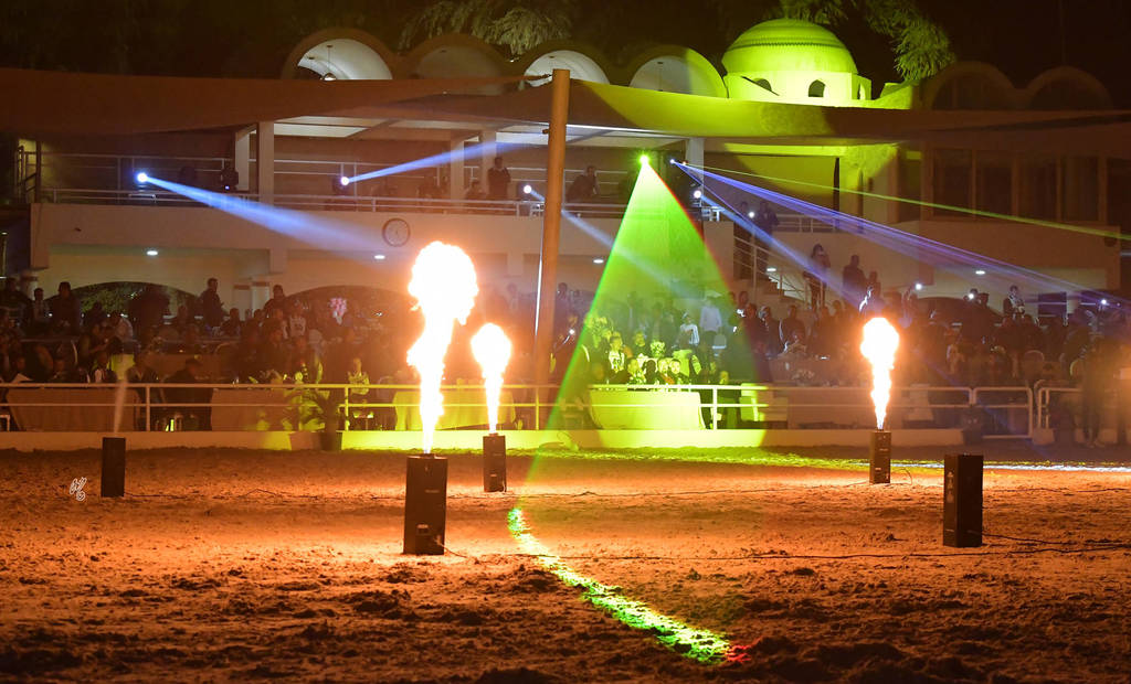 Rabab Stud in Cairo, Egypt ~ owned by Sheikh Khaled bin Laden