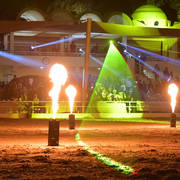 Rabab Stud in Cairo, Egypt ~ owned by Sheikh Khaled bin Laden