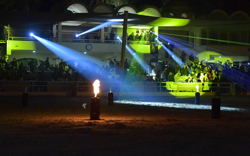 Rabab Stud in Cairo, Egypt ~ owned by Sheikh Khaled bin Laden