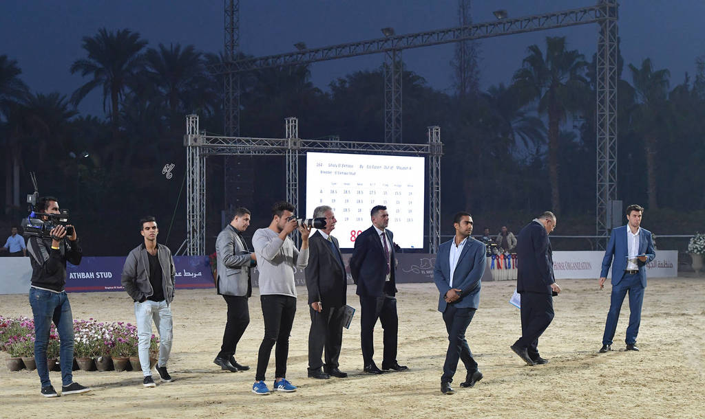 Lisa Abraham: The AHO Breeders' Championship in Egypt Photo Gallery