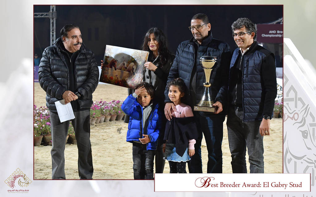 Lisa Abraham: The AHO Breeders' Championship in Egypt Photo Gallery