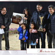 Lisa Abraham: The AHO Breeders' Championship in Egypt Photo Gallery