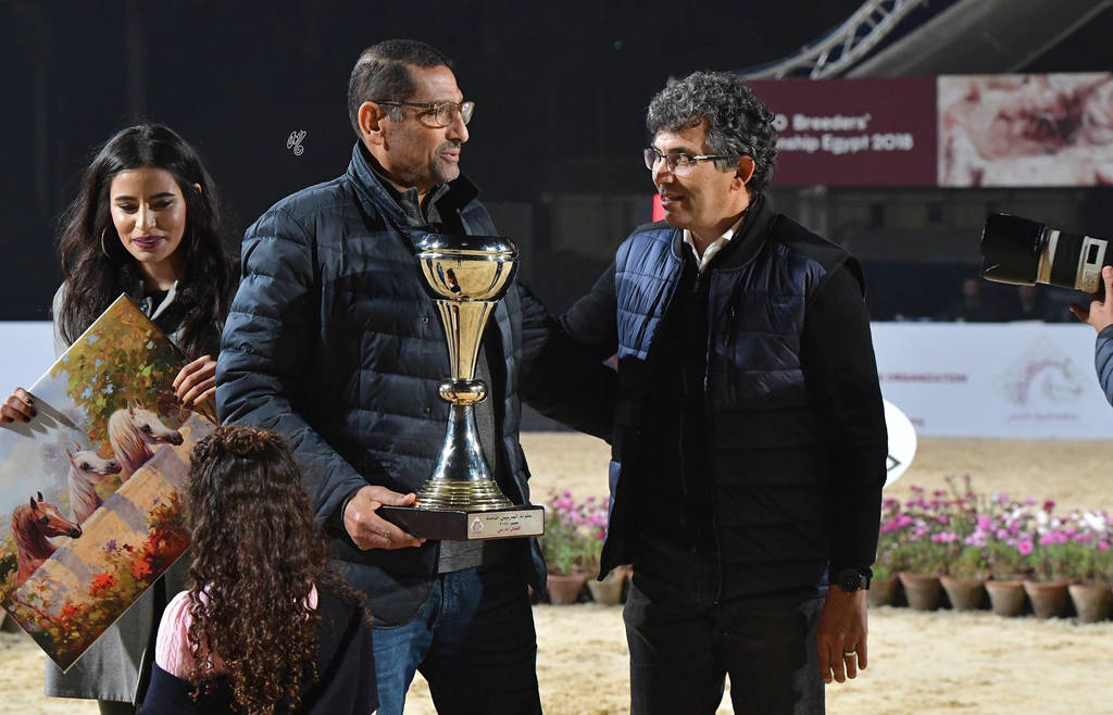 Lisa Abraham: The AHO Breeders' Championship in Egypt Photo Gallery