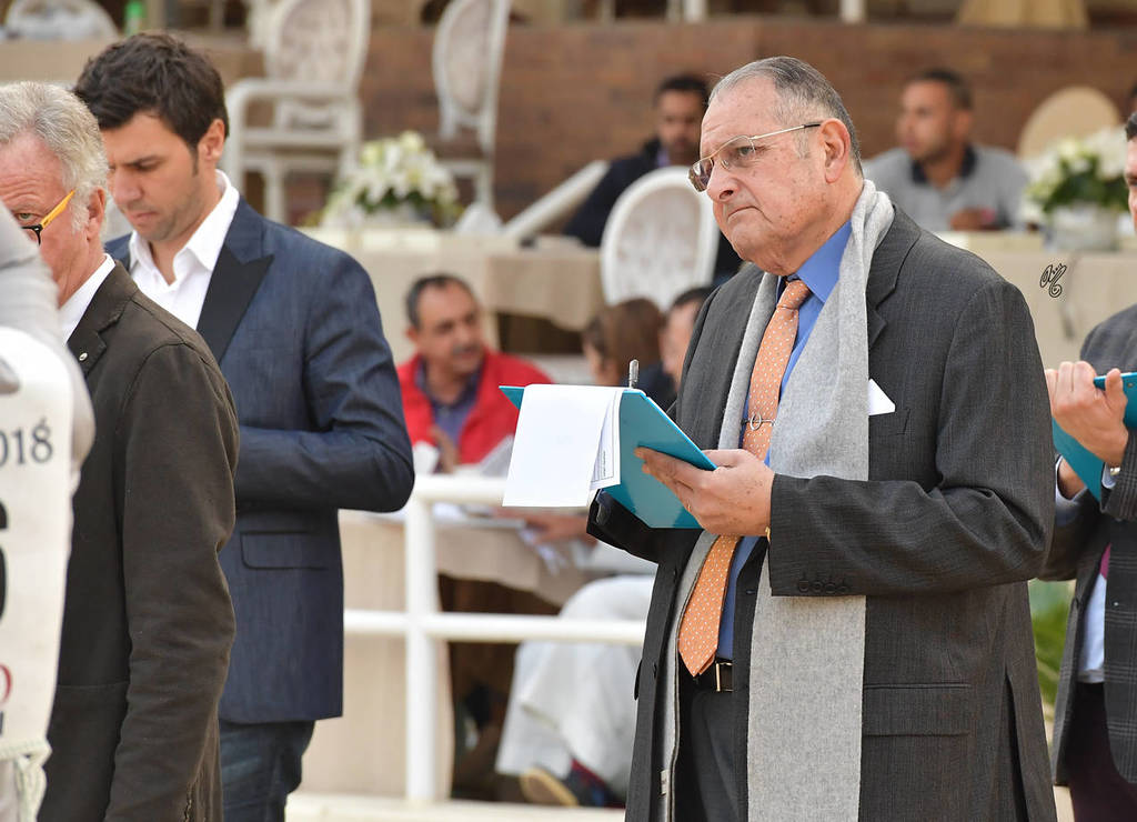 Judge Ahmed Hamza (Egypt)