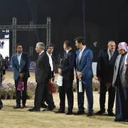 Lisa Abraham: The AHO Breeders' Championship in Egypt Photo Gallery