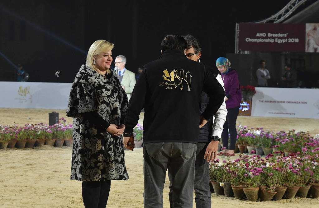 Lisa Abraham: The AHO Breeders' Championship in Egypt Photo Gallery