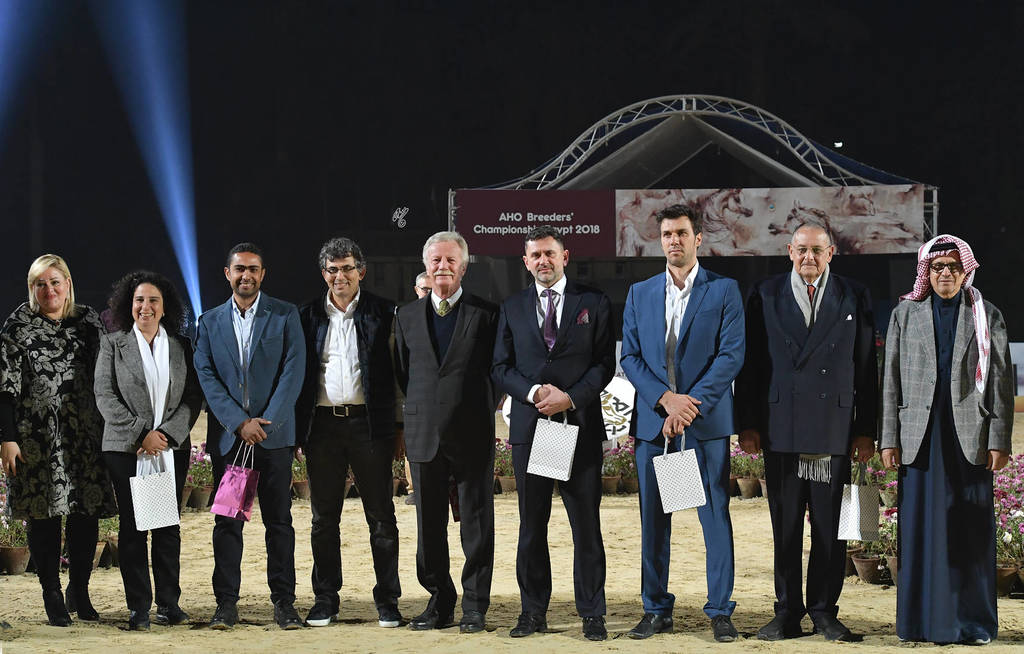 Lisa Abraham: The AHO Breeders' Championship in Egypt Photo Gallery