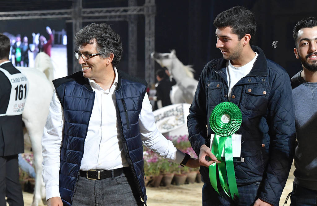 Stallions 4 Years and Above: Naizak Al Yasser