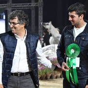 Stallions 4 Years and Above: Naizak Al Yasser