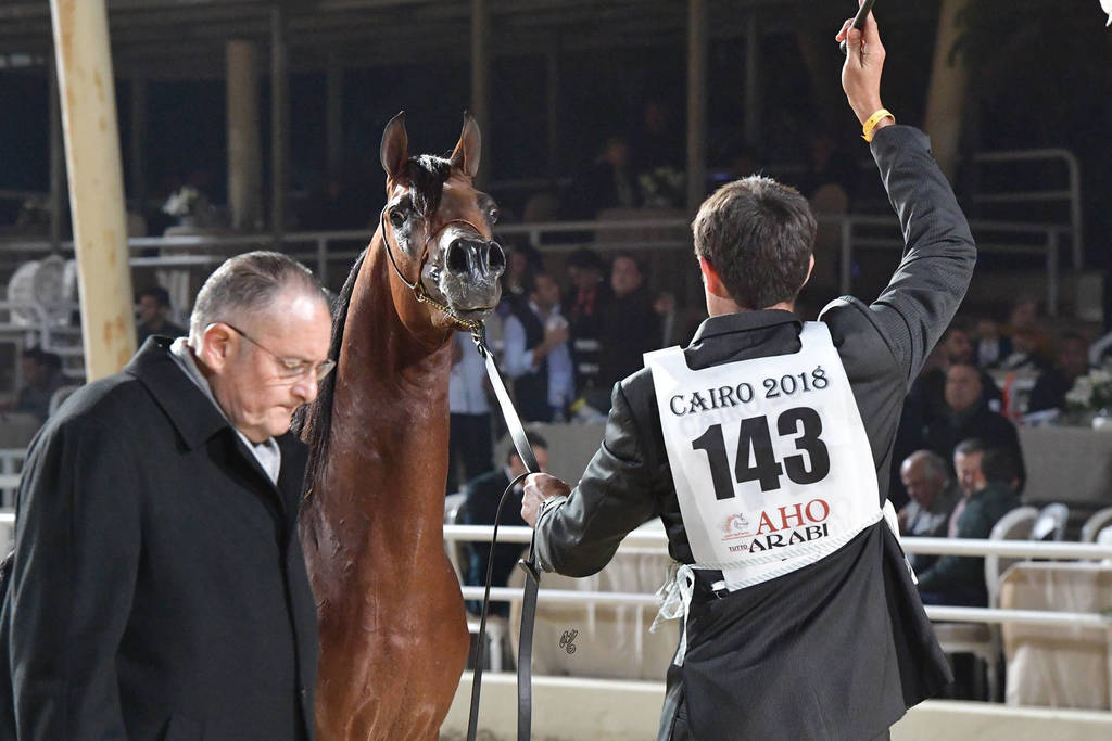 Colts 3 Years: Tameer Fila