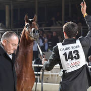 Colts 3 Years: Tameer Fila