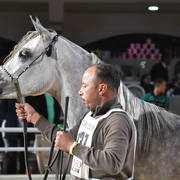 Colts 2 Years: Marwan Al Naggar