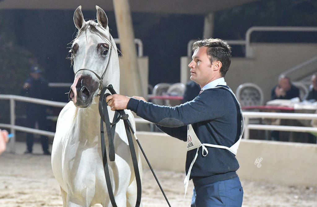 Colts 2 Years: Aiyad Al Mamlaka