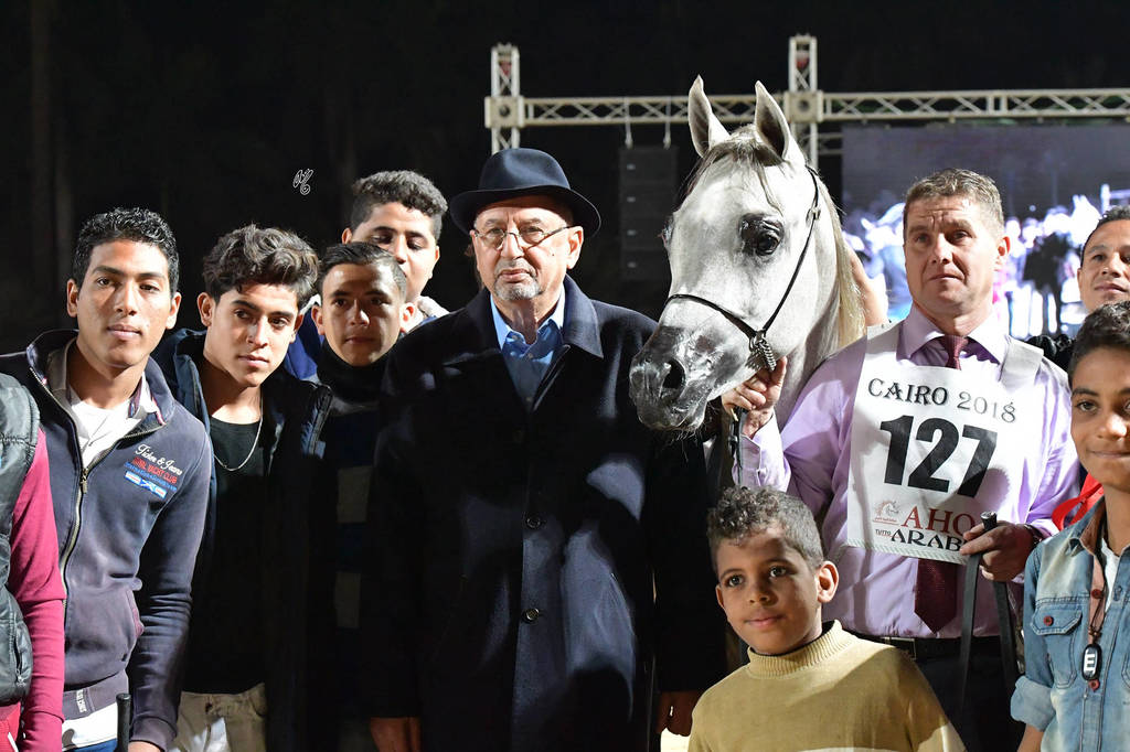 Yearling Colt: Anbar Rabab