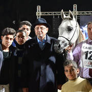 Yearling Colt: Anbar Rabab