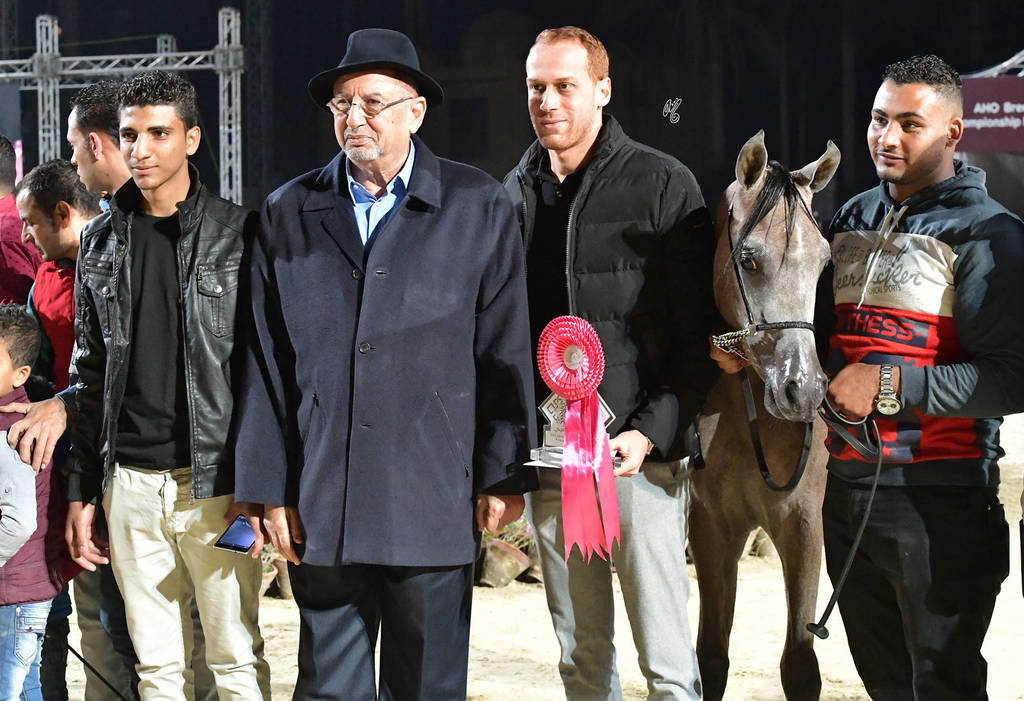 Yearling Colt: Magd Al Gammal