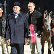 Yearling Colt: Magd Al Gammal