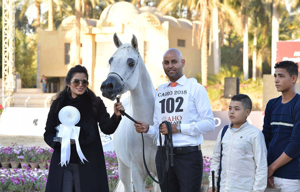 Mares 4-6 Years: Sarab El Gabry