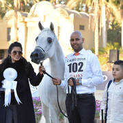 Mares 4-6 Years: Sarab El Gabry