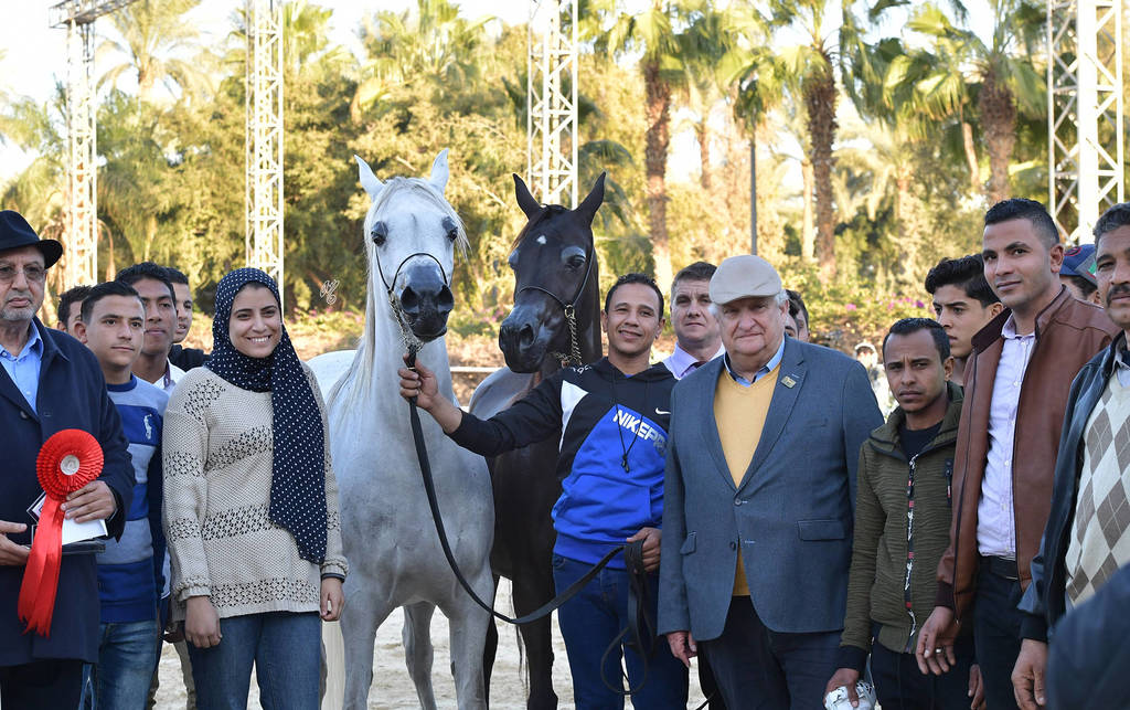 Mares 4-6 Years: Dahma Al Najdiah and Anbara Rabab