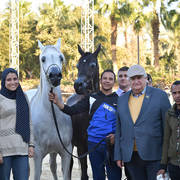 Mares 4-6 Years: Dahma Al Najdiah and Anbara Rabab