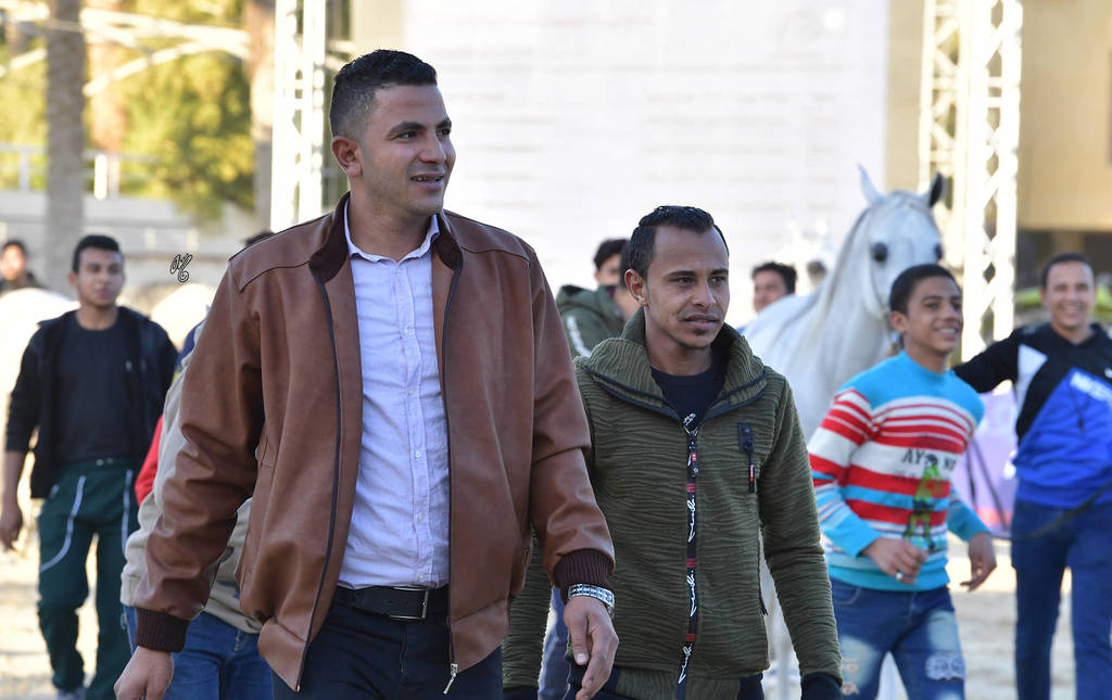 Mares 4-6 Years: Dahma Al Najdiah