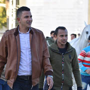 Mares 4-6 Years: Dahma Al Najdiah