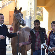 Mares 4-6 Years: Azhar Al Nile