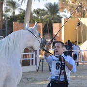 Mares 4-6 Years: Bahira Al Farida