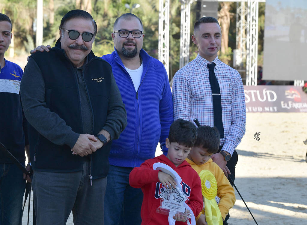 Mares 4-6 Years: Belina Al Farida