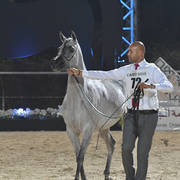 Fillies 3 Years: Amina El Gabry