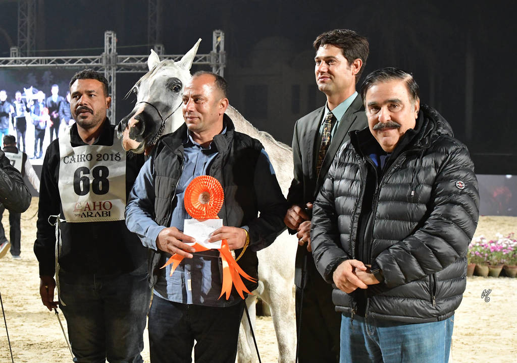 Fillies 3 Years: Amna Adel