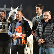 Fillies 3 Years: Amna Adel