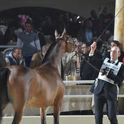 Fillies 2 Years: Ghalia Al Gammal