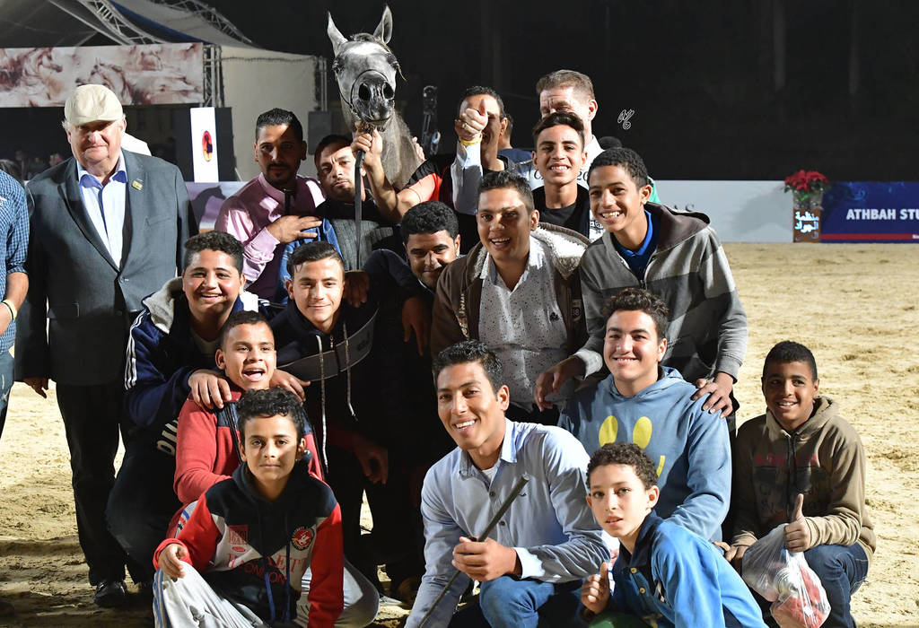 Yearling Filly: Sahar Rabab