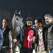 Yearling Filly: Shahrazad Rawdet El Rahman