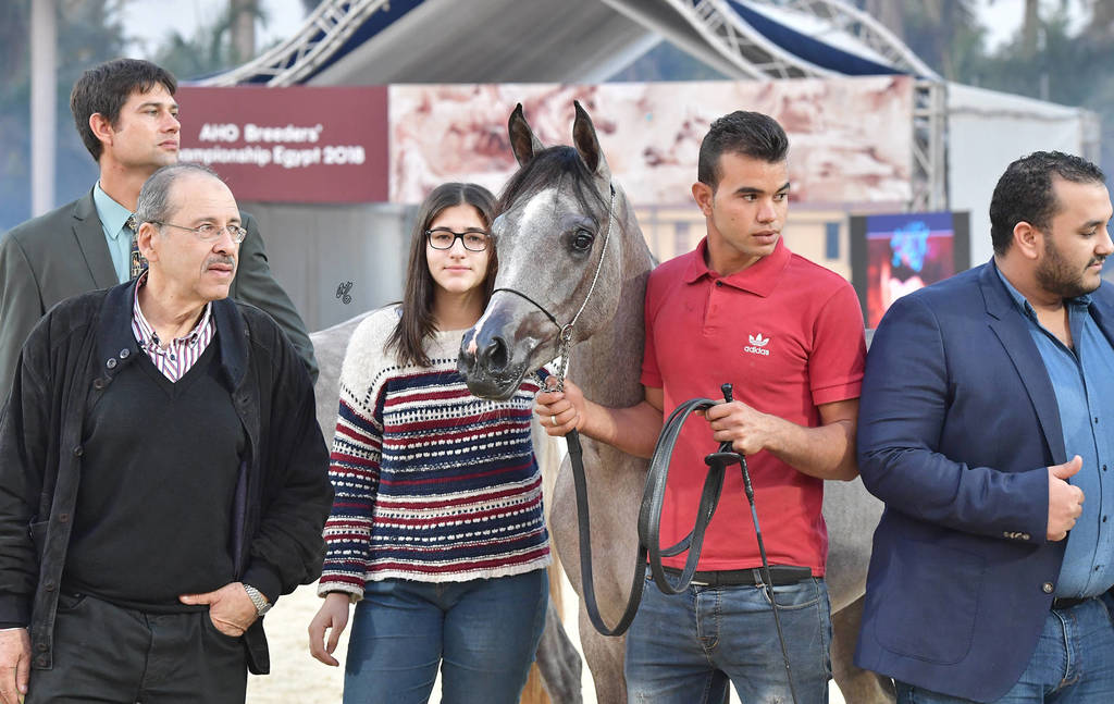 Yearling Filly: Farida Teebah