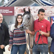 Yearling Filly: Farida Teebah