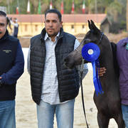 Yearling Filly: Marwa Royal