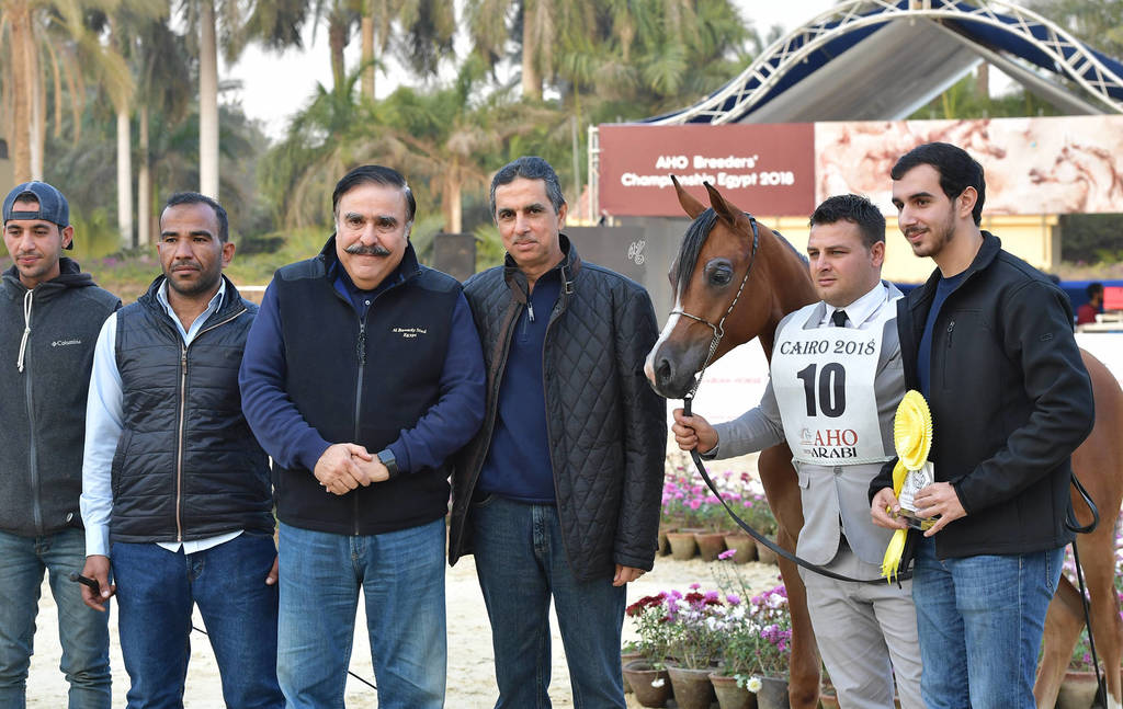 Yearling Filly: Hardeer El Sheruk