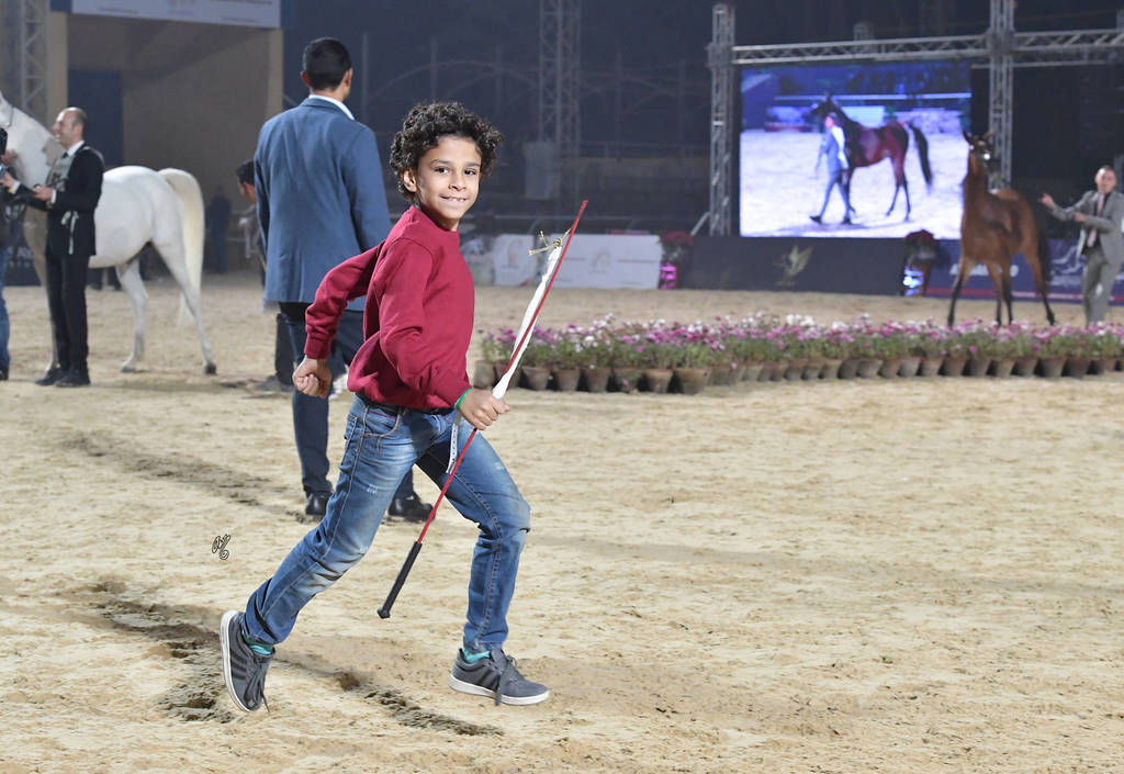 Lisa Abraham: The AHO Breeders' Championship in Egypt Photo Gallery