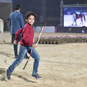 Lisa Abraham: The AHO Breeders' Championship in Egypt Photo Gallery