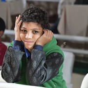 Lisa Abraham: The AHO Breeders' Championship in Egypt Photo Gallery