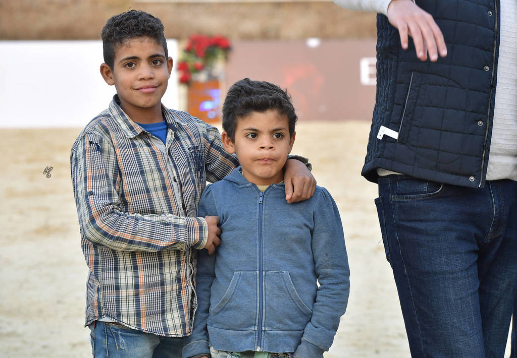 Lisa Abraham: The AHO Breeders' Championship in Egypt Photo Gallery